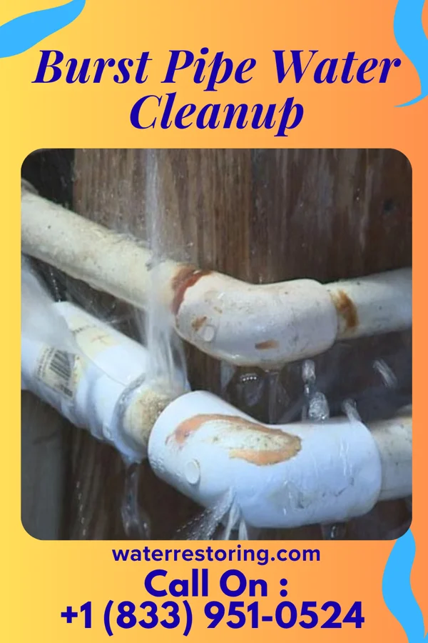 Burst Pipe Water Cleanup in Parkersburg, WV