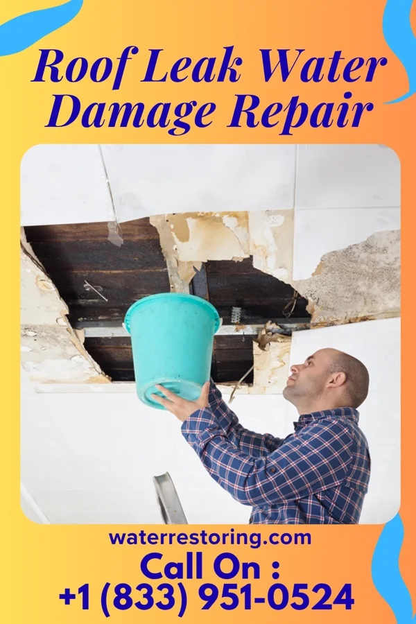 Roof Leak Water Damage Repair in Parkersburg, WV