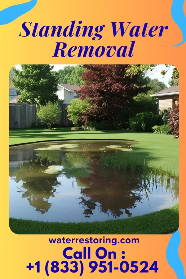 Standing Water Removal in Parkersburg, WV